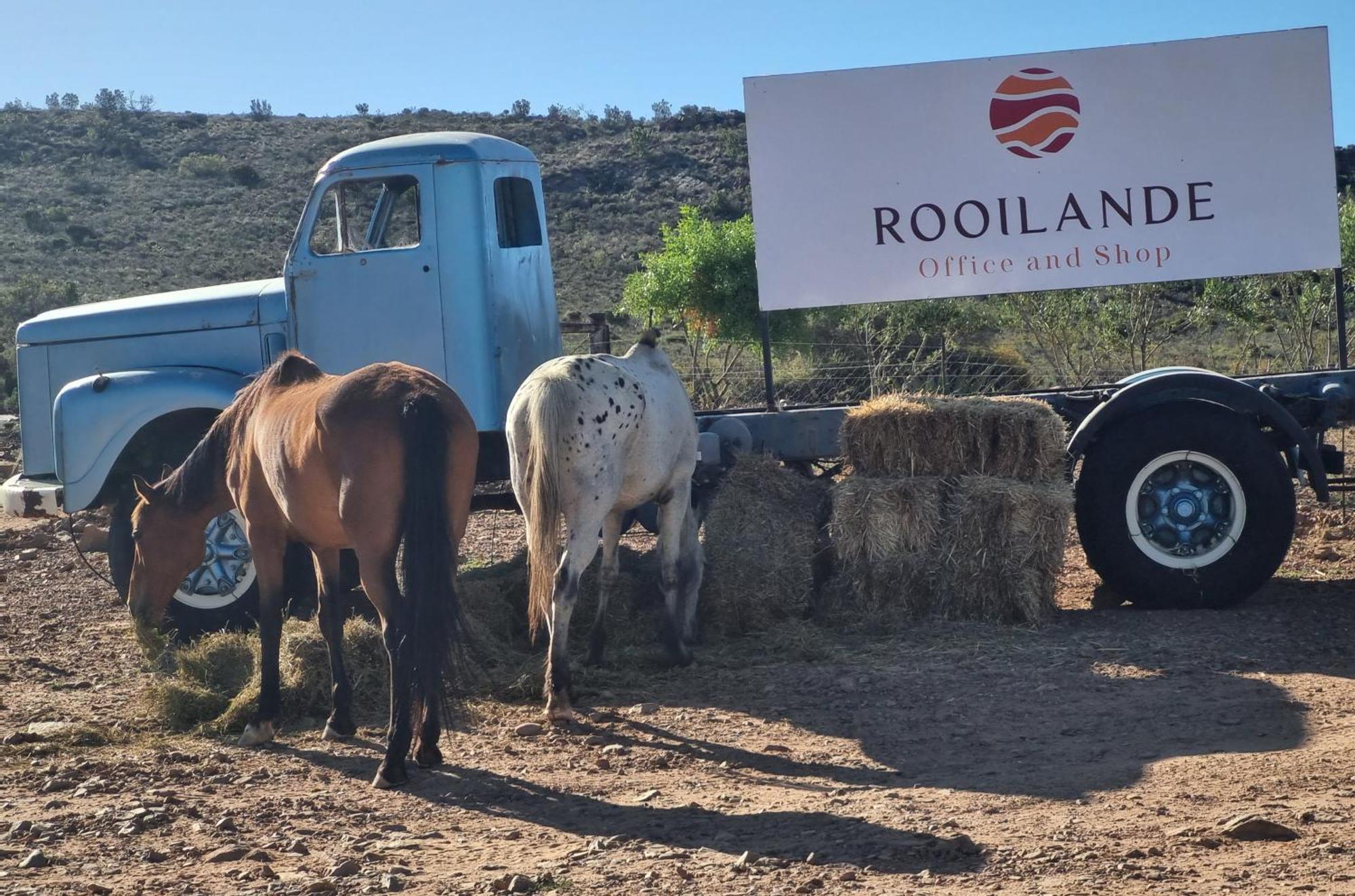 Rooilande Guest Farm Chalets Laingsburg Buitenkant foto