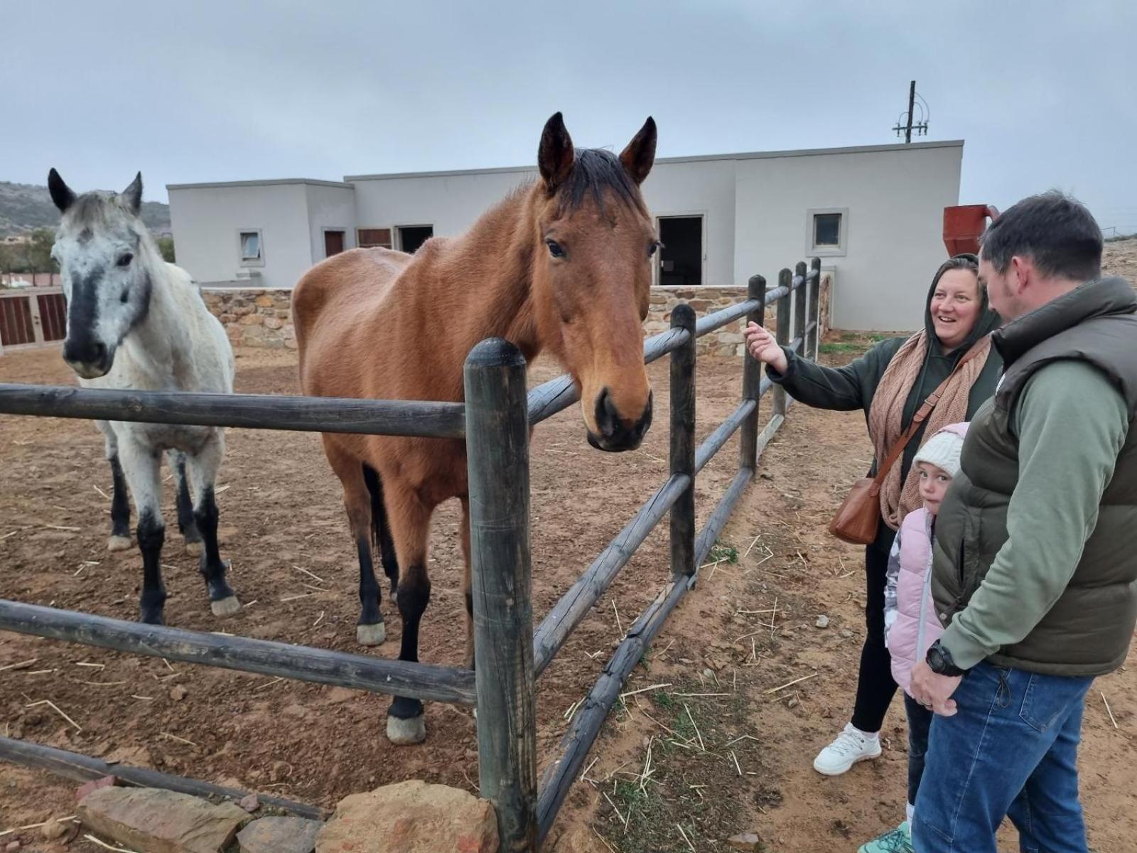 Rooilande Guest Farm Chalets Laingsburg Buitenkant foto